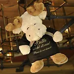 Ξενοδοχείο Jagdhof Glashuette 5*