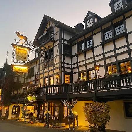 Hotel Jagdhof Glashütte