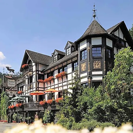 Jagdhof Glashütte 5*