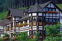 Hotel Jagdhof Glashuette 5*