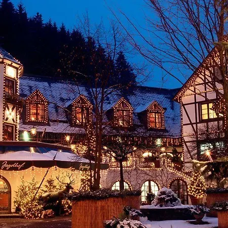 Relais&châteaux Jagdhof Glashütte Hotel Bad Laasphe