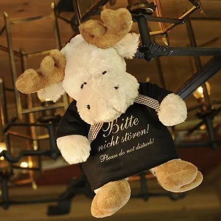 Hotel Jagdhof Glashuette 5*