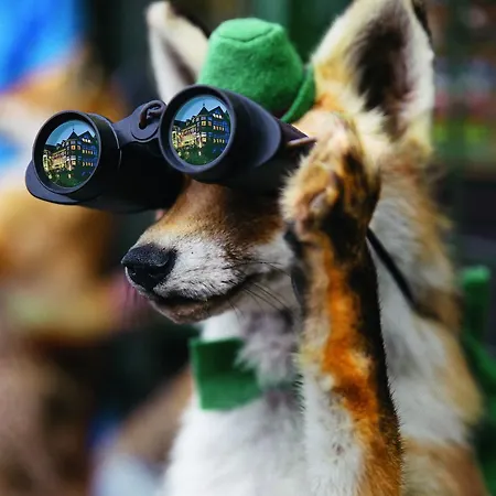 Hotel Jagdhof Glashütte