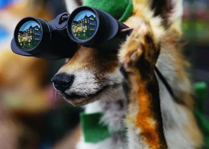 酒店 伽戈霍夫格拉苏蒂罗莱夏朵精品酒店